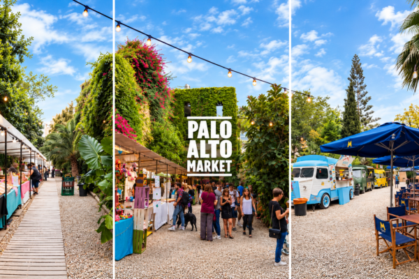 PALO ALTO MARKET 2026